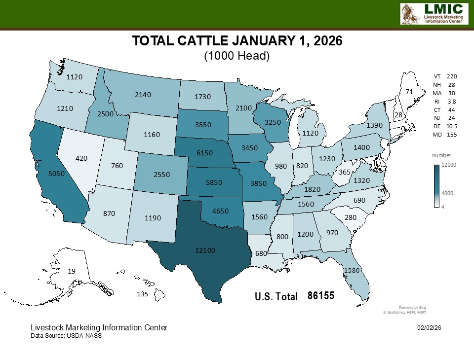 CATTLE AND SHEEP INVENTORY LEVELS FALL