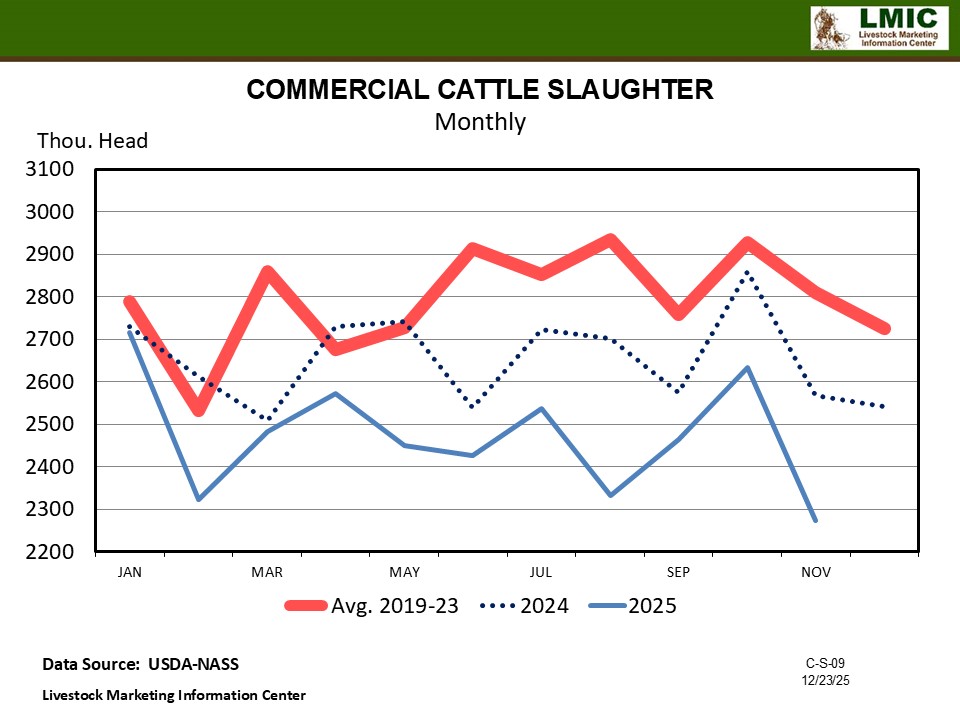 DECLINES IN 2025 CATTLE SLAUGHTER