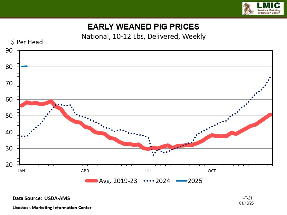 STRONG START FOR HOG PRICES