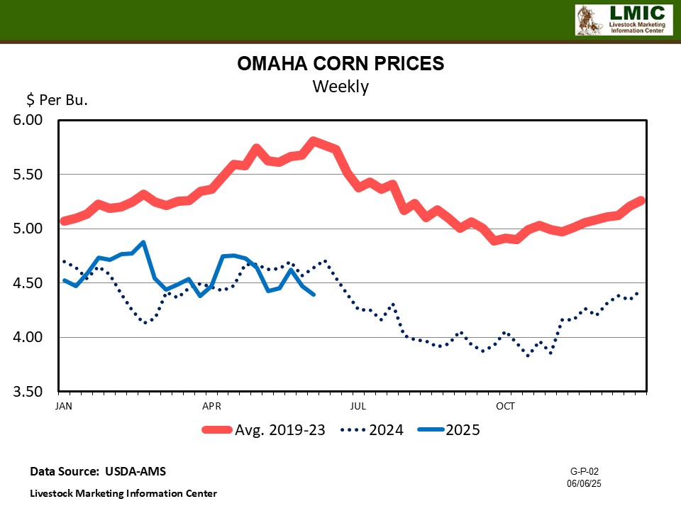 CORN MARKET TRENDS