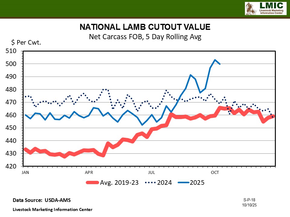LAMB PRICES RISE