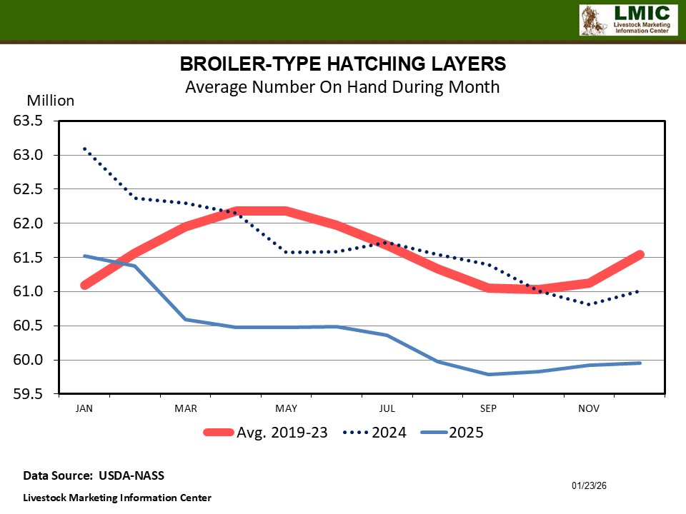 CHICKEN INDUSTRY KEEPING PRODUCTION PLAN
