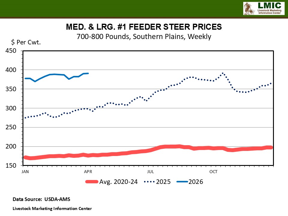 CATTLE MARKET DISCUSSION