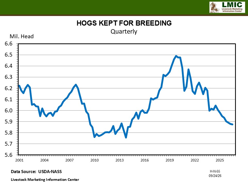 SEPTEMBER HOGS & PIGS TIGHTER SUPPLIES